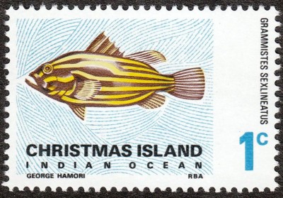 IMG5.jpg