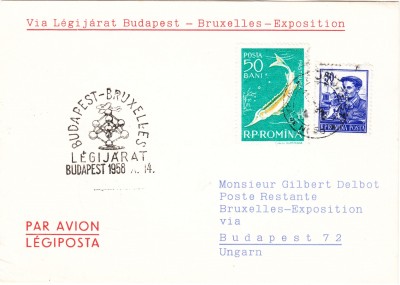 IMG5_0001.jpg