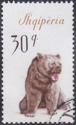 20170127_0002.jpg