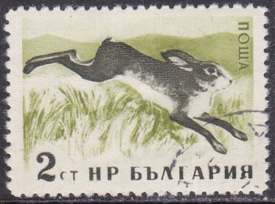 20170203_0008.jpg