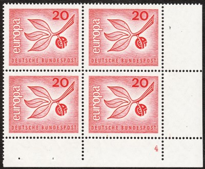 IMG5.jpg