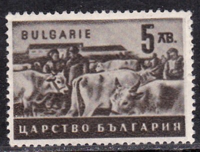 20170211_0002.jpg