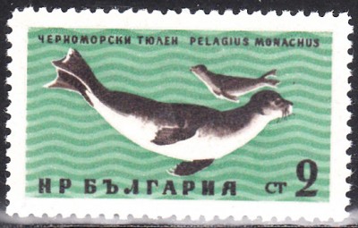 20170212_0004.jpg