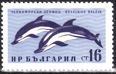 20170212_0006.jpg