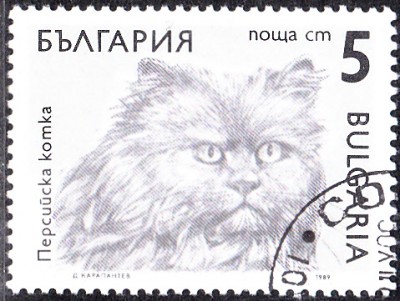 20170216_0004.jpg