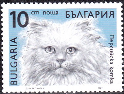 20170216_0007.jpg