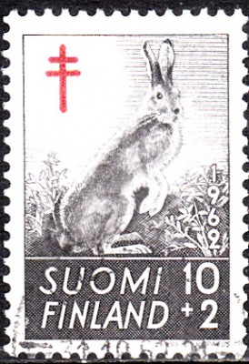 20170220_0002.jpg