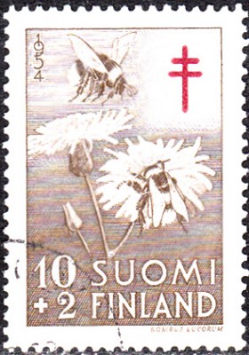 20170220_0004.jpg