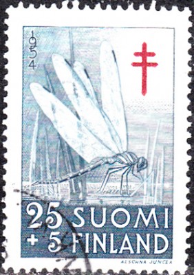 20170220_0006.jpg