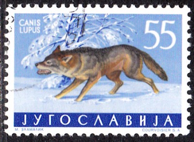 20170224_0012.jpg