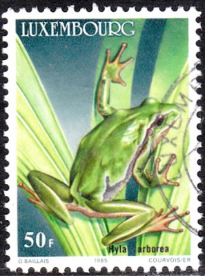 20170226.jpg