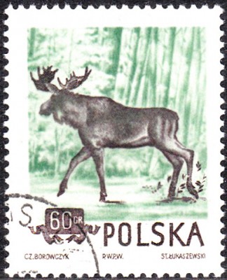 20170305_0001.jpg