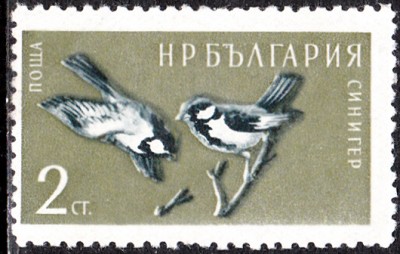 20170307_0002.jpg