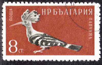 20170307_0003.jpg