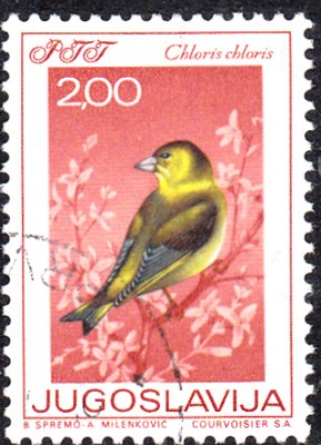 20170310_0003.jpg