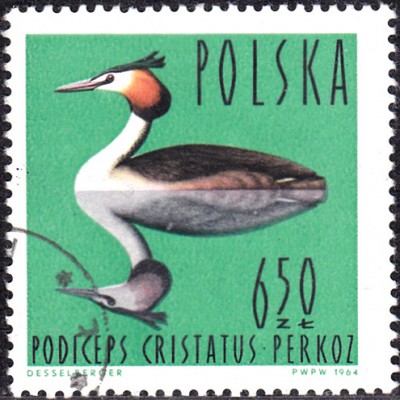 20170311_0047.jpg