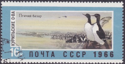 20170316_0024.jpg