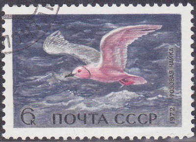 20170316_0032.jpg