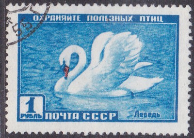 20170316_0033.jpg