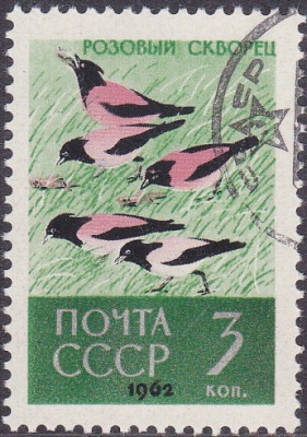 20170316_0034.jpg