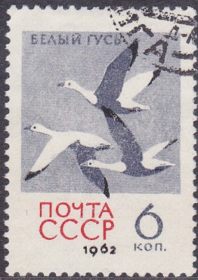 20170316_0036.jpg