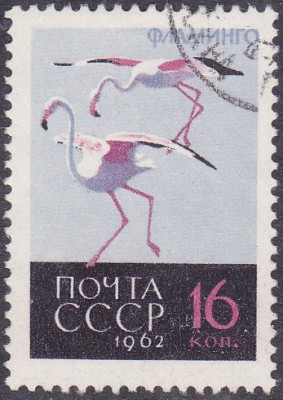 20170316_0038.jpg