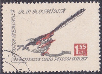20170318_0015.jpg
