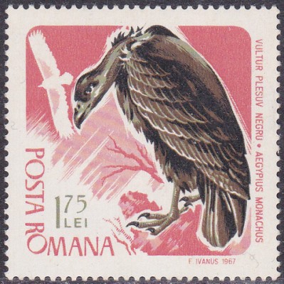 20170319_0007.jpg