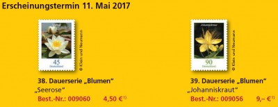 Bild31.jpg