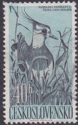 20170324_0013.jpg
