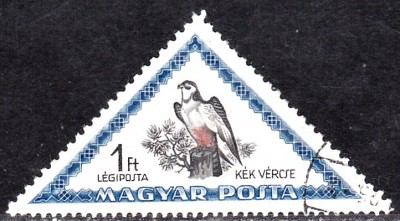 20170326_0011.jpg