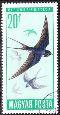 20170327_0016.jpg
