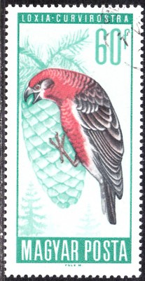 20170327_0018.jpg