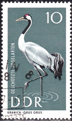 20170329_0008.jpg