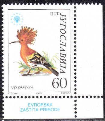 20170330_0004.jpg