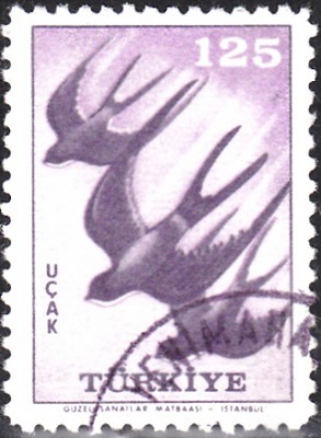 20170331_0004.jpg