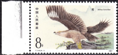 20170331_0011.jpg