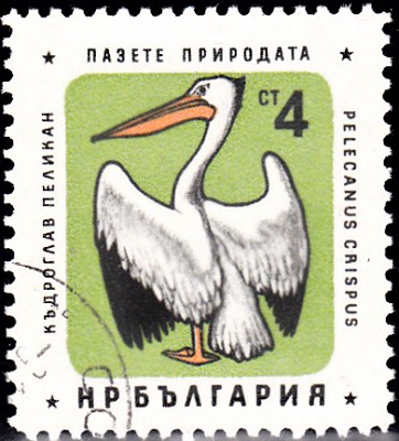 20170402_0005.jpg