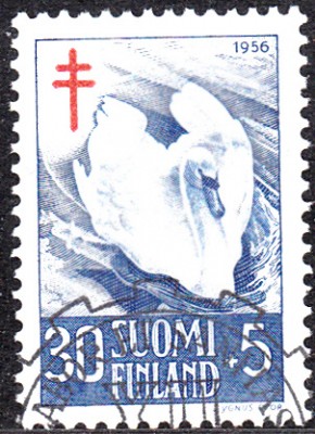 20170403_0024.jpg