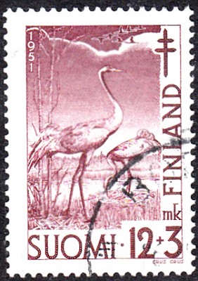 20170403_0020.jpg