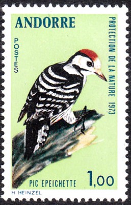 20170404_0002.jpg