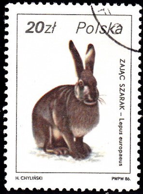 20170404_0012.jpg