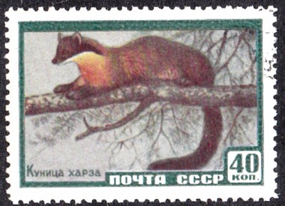 20170405_0018.jpg