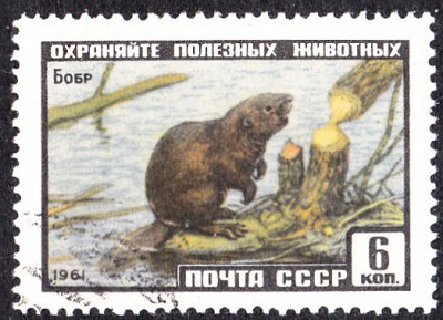 20170405_0019.jpg