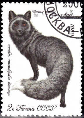 20170408_0016.jpg