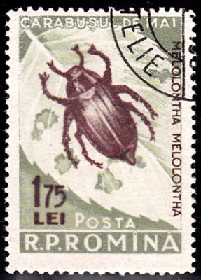 20170411_0009.jpg