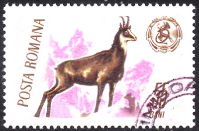 20170413_0007.jpg