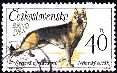 20170416_0016.jpg