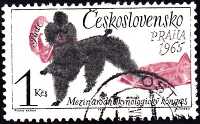 20170416_0018.jpg