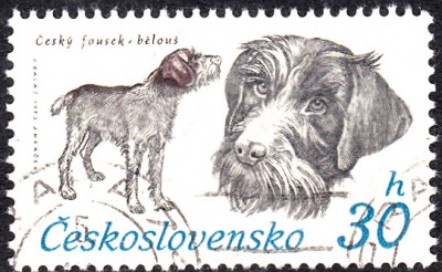 20170416_0020.jpg